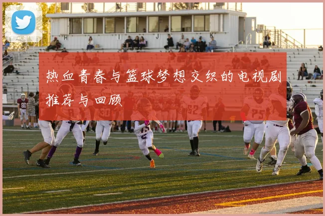 热血青春与篮球梦想交织的电视剧推荐与回顾